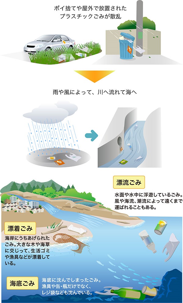 川崎市 : ポイ捨ての影響について ～海洋プラスチックごみ問題～