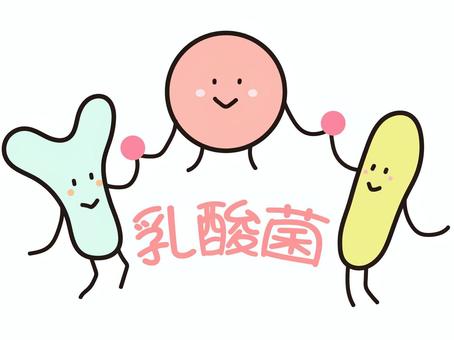 乳酸菌と乳酸菌を多く含む主な食品 日本語 のイラスト素材76103137- PIXTA