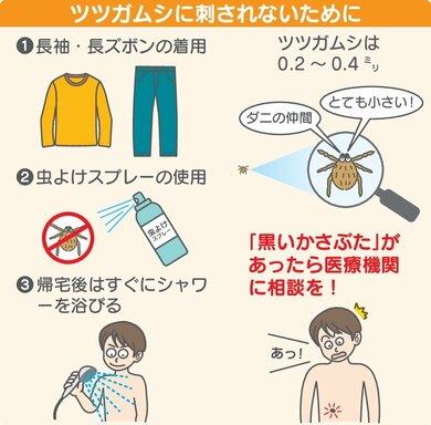 ダニ類による感染症 Q6 - 皮膚科Q＆A 公益社団法人日本皮膚科学会