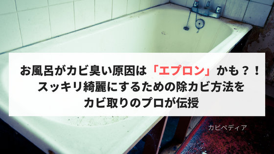 お風呂のエプロン掃除していますか