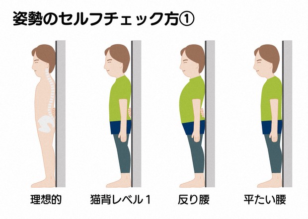 美姿勢トレーニング vol.１ あなたは猫背？ 反り腰？ 簡単セルフチェックビューティーnon-no web