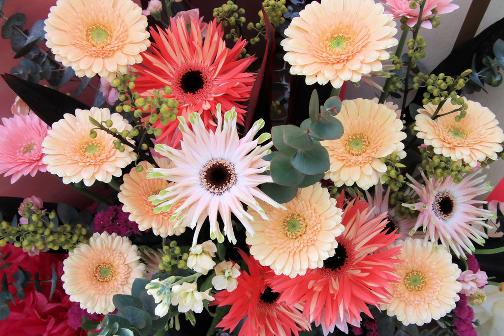 元気」や「健康」の花言葉を持つ花LOVEGREEN ラブグリーン