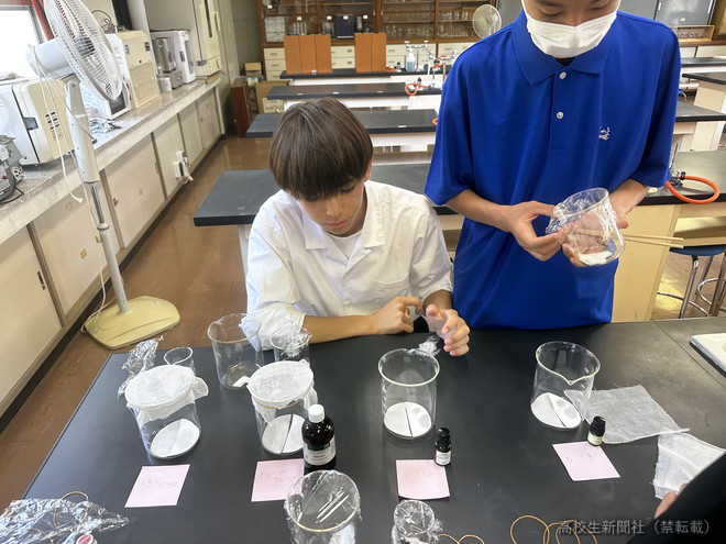 意外と簡単？絶対やるべきカメムシ撃退法