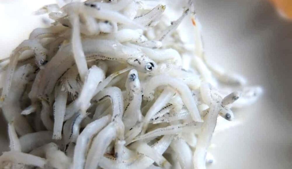 離乳食にサワラはいつから？時期別の目安量や下ごしらえとおすすめレシピをご紹介！ - 幼児食・離乳食の宅配ならファーストスプーン first spoon