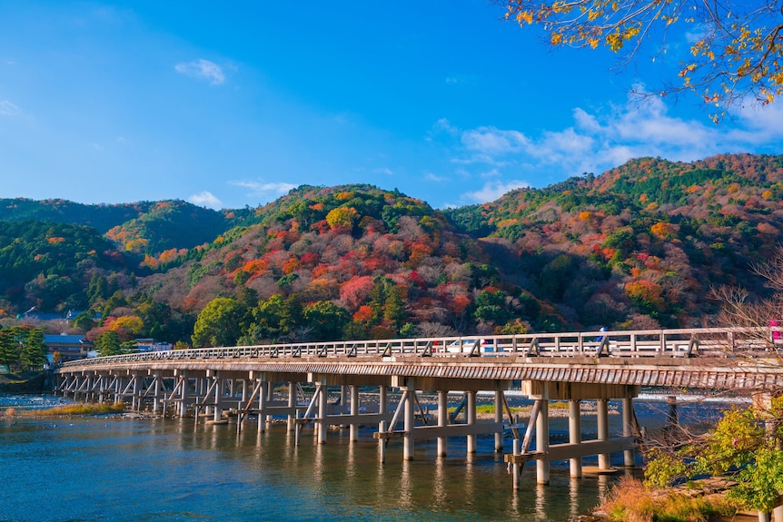 京都 竹の郷温泉 万葉の湯