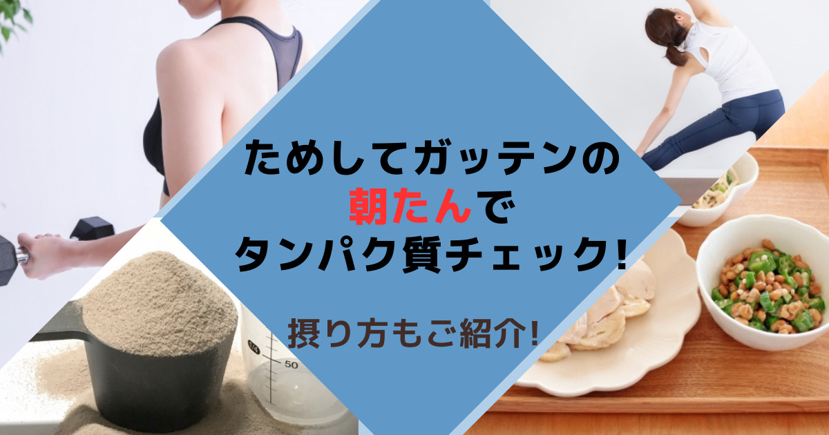 ためしてガッテンの朝たんでタンパク質チェック!摂り方もご紹介!胡蝶さんのおいしい食卓