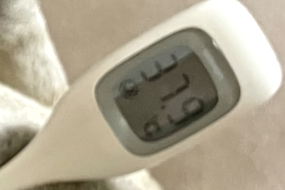 仮病の写真素材写真素材なら「写真AC」無料 フリー ダウンロードOK