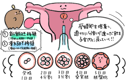 赤ちゃんが欲しい人のための美味しい食事・妊活レシピ不妊College