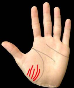 あなたの手相には陰徳線はある？手相で夢に生きる