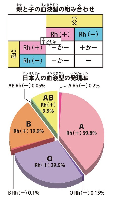 どんな血液型でも大丈夫な「人工血液」、献血者不足を背景に実用化への歩み進む : 読売新聞