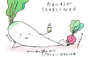 ラディッシュの葉っぱが食べられた？！ -家庭菜園で極力薬を使用しないように-OKWAVE