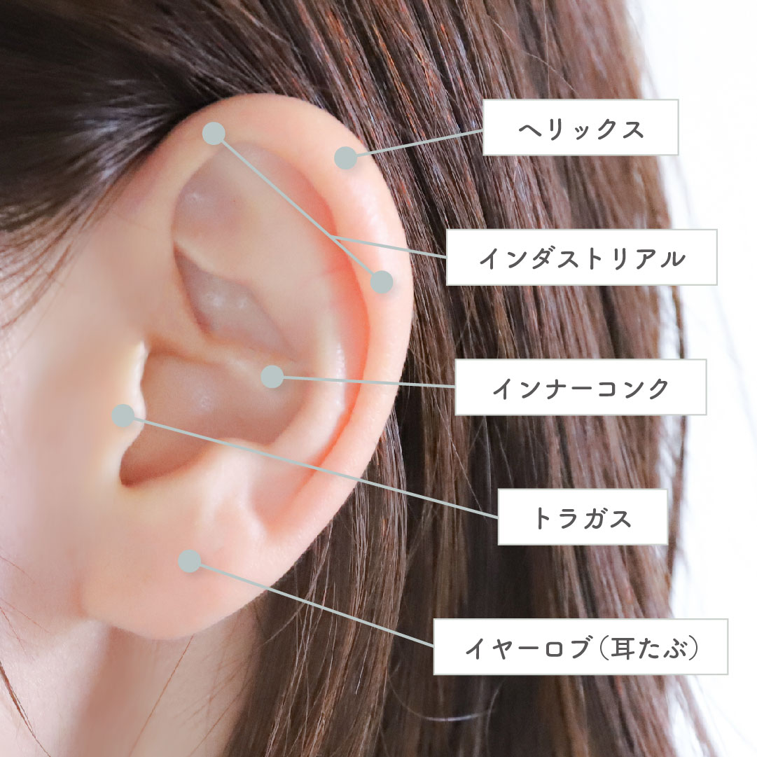 完全版 耳のピアスの名前と位置を解説！ 軟骨・耳たぶボディピアス専門店ROQUEロキの軟骨ピアスまとめ