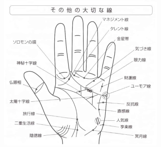 金星丘の陰徳線の手相の意味は？聖職紋やカリスマ線の見方は？BELCY