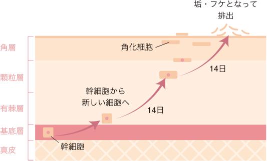 吉井クリニックブログ吉井クリニック