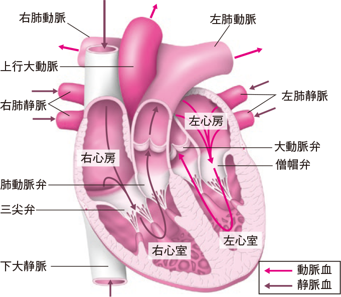 用語解説理科便覧ネットワーク浜島書店