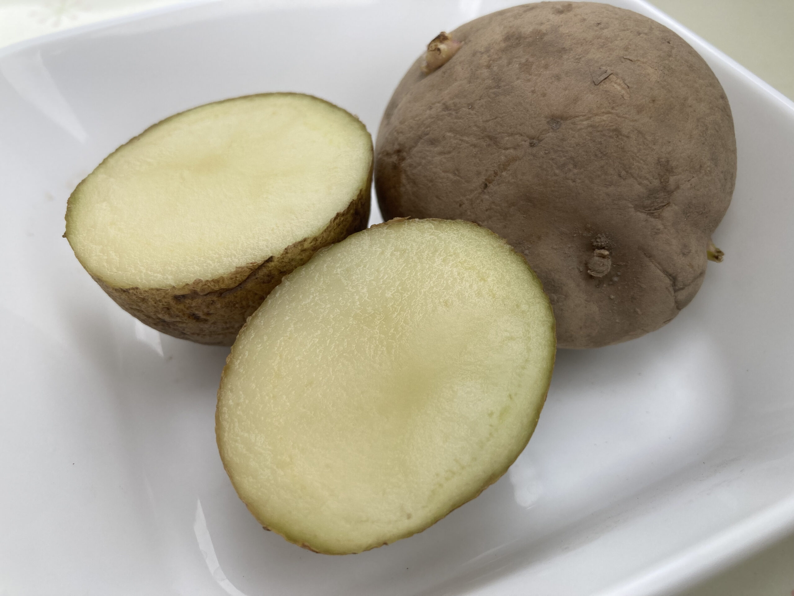 じゃがいもが青くなって芽が出たコープ北陸事業連合