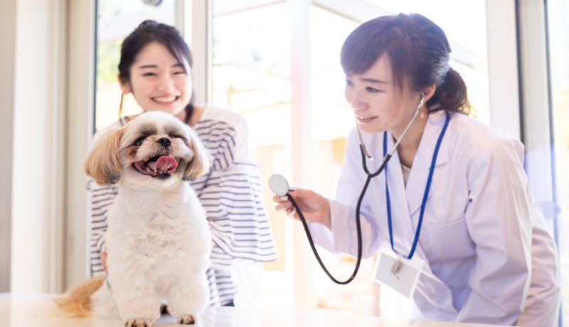 お子様のアレルギーについて横山医院