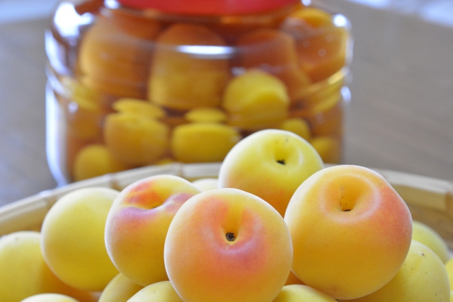 塩梅」をマスターすれば料理はおいしくなる！樋口直哉 TravelingFoodLab.