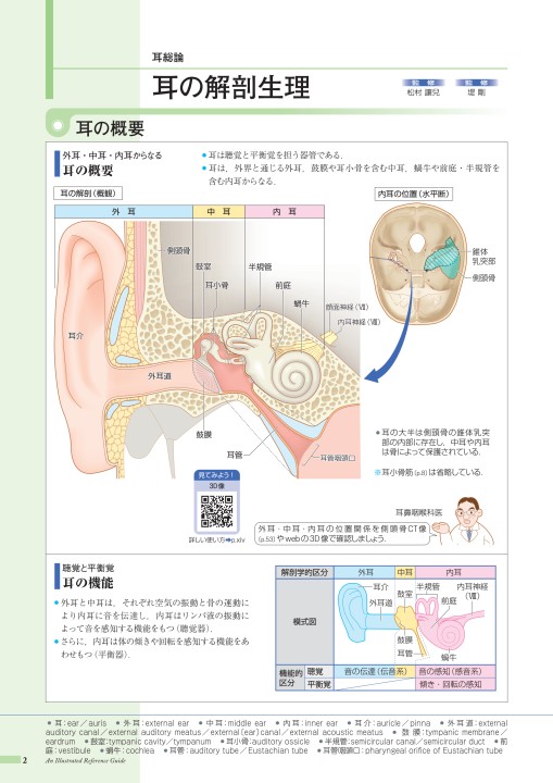 耳の機能と構造