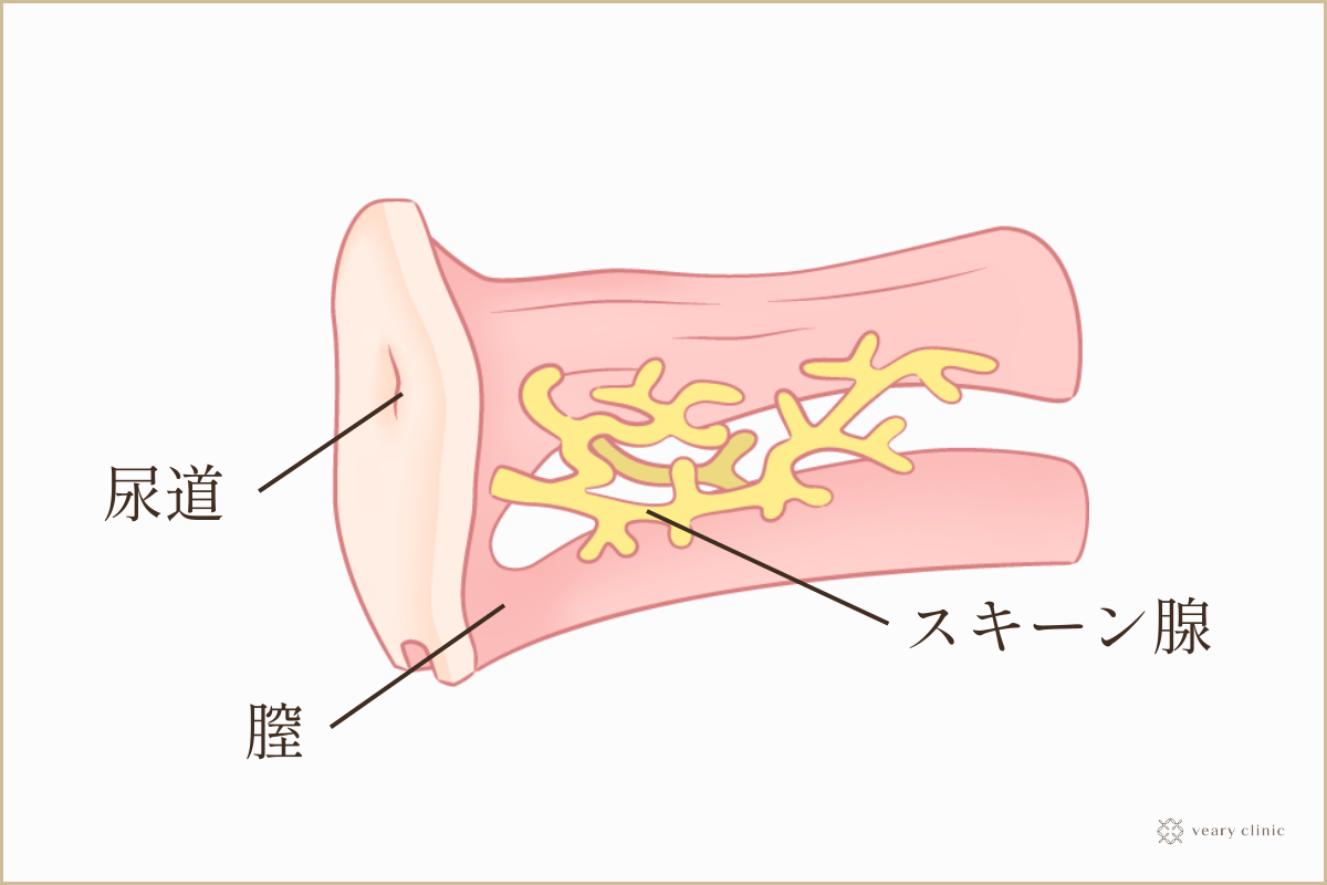 イク感覚がわからないもっと開発したい「女性の性感帯」3つ #107 (2020年05月02日) ｜BIGLOBE Beauty