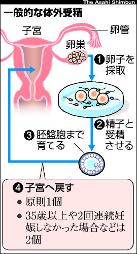 双子三つ子の家庭を笑顔に！双子や三つ子が集まるイベントを5大都市圏で開催したい！ - CAMPFIREキャンプファイヤー