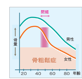 身長が低くなるのはどうして？」原因は骨粗しょう症による骨折！～骨粗鬆症を知って予防しよう～コラム「なごくら」