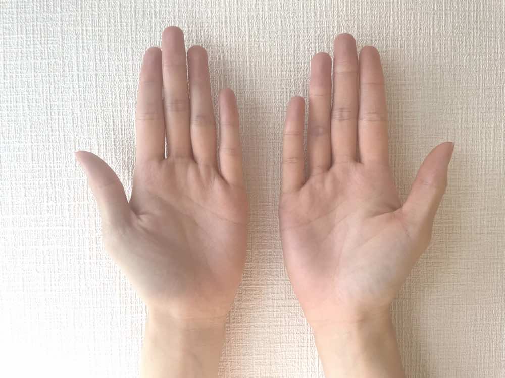 ますかけ線を徹底解説！種類別の意味・特徴が分かる