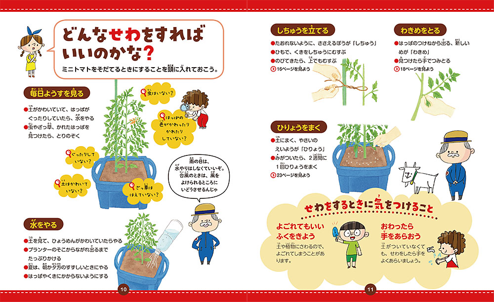 トマト・ミニトマトの育て方と栽培のコツやまむファーム