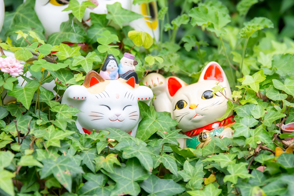 人気占い師が教える「見逃せないサイン」 運が良くなるときに起こることは？GISELe ジゼル