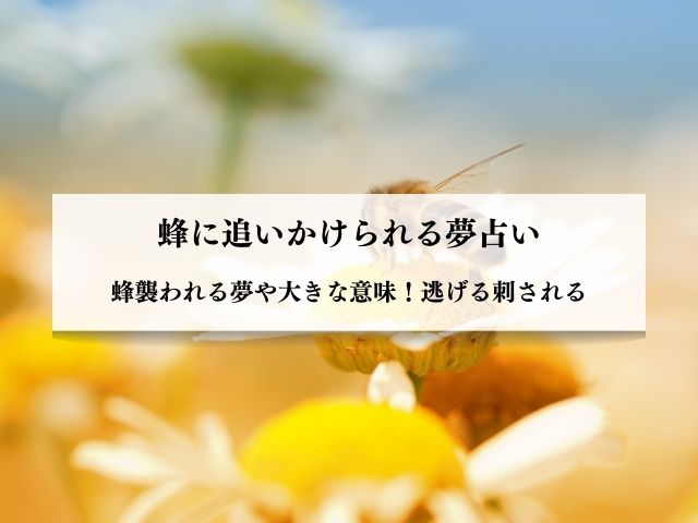 占い師監修 蜂の夢の意味を徹底解説！状況別の夢占い結果まとめ