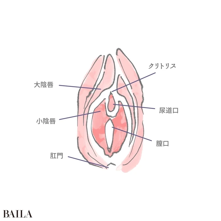 女性が感じる仕組みとは？オーガズムとスキーン腺の関係について解説 | コラム一覧｜ 東京の婦人科形成・小陰唇縮小・婦人科形成（女性