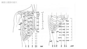 辛い 首こりに効果のあるツボはどこ？肩コリや目の疲れにも効くツボを紹介 - 株式会社リハサク