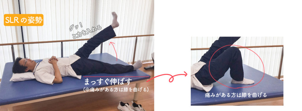 図解 体幹の強化・股関節の機能改善 レッグ・ロワリングを詳しく解説 金沢市アルコット接骨院のパーソナルトレーニングコラムvol.007