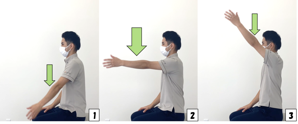 ブリッジ・エクササイズ 指導方法とプログレッション方法BPM Function