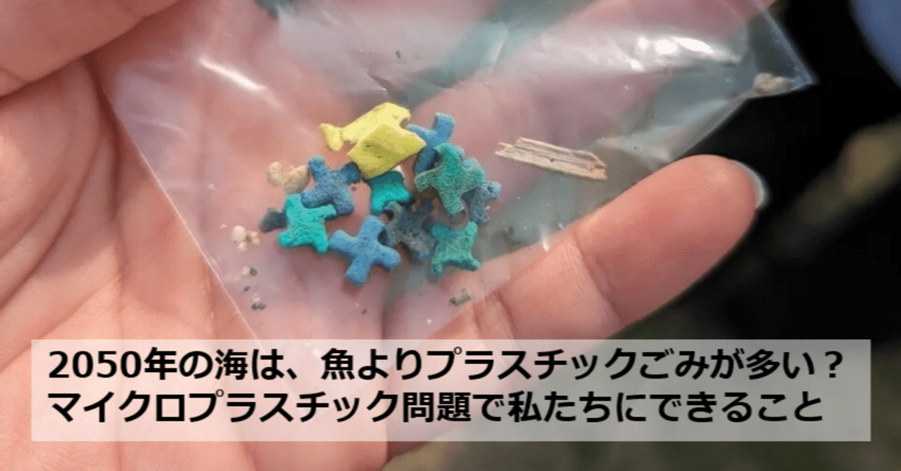 海洋プラスチック問題の対策に有効な対処法とは？折兼ラボ株式会社折兼