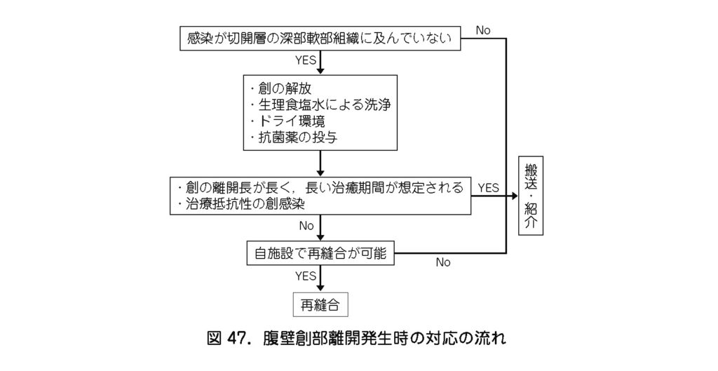 自宅でできる「傷 きず 」の処置日本医科大学武蔵小杉病院