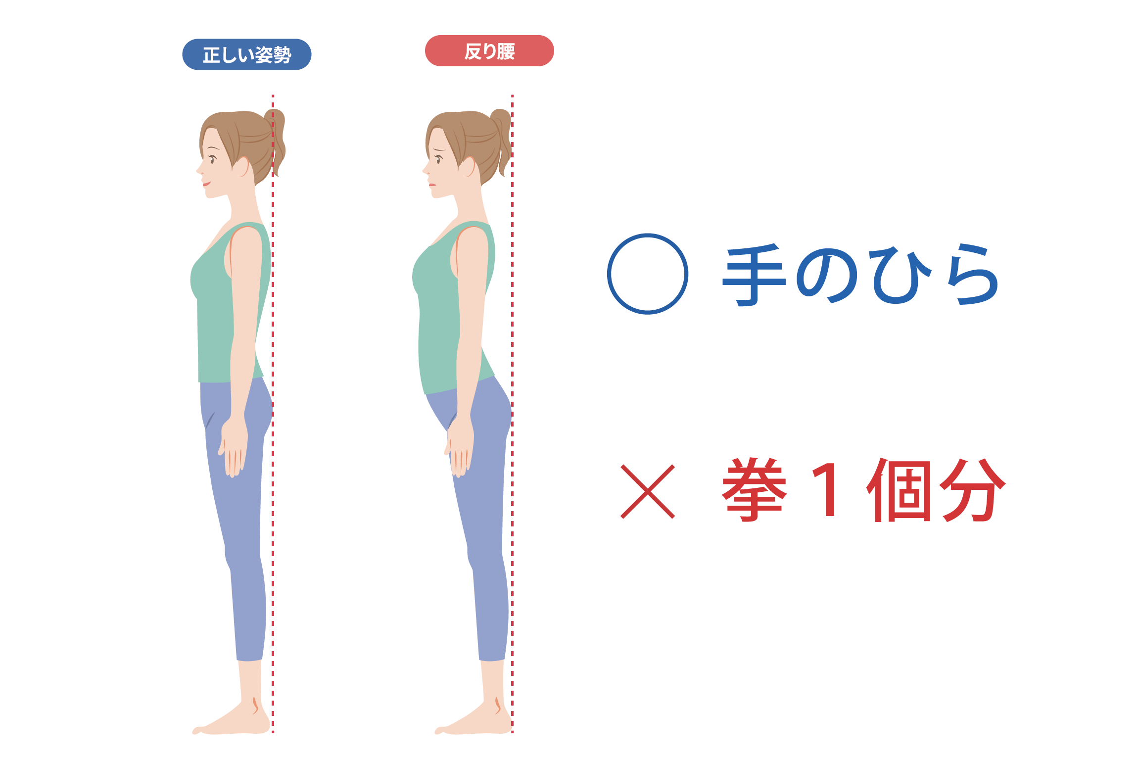 1日3分で姿勢改善！おうちでできるストレッチ完全ガイド猫背・反り腰・肩こり解消に」渋谷No.1実績選ばれる整体・鍼灸院15年以上の信頼と実績