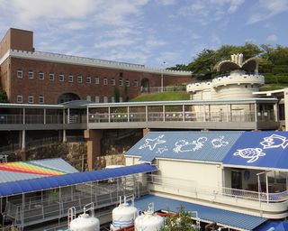 太陽公園 入園料クーポン- いわ ユニバ情報