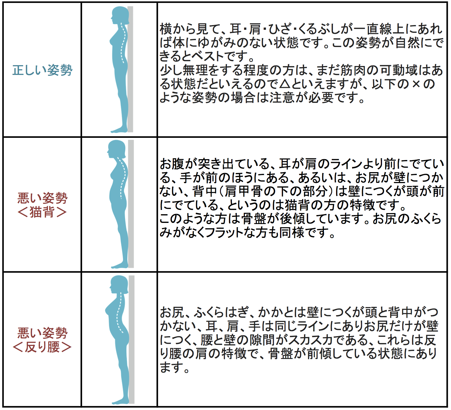２．骨格のねじれを整える - ファミリーコーチPROJECT
