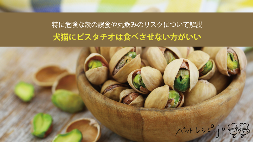 獣医師監修 犬に栗を与えても大丈夫。栗を食べるメリットと与え方を解説いぬのきもちWEB MAGAZINE