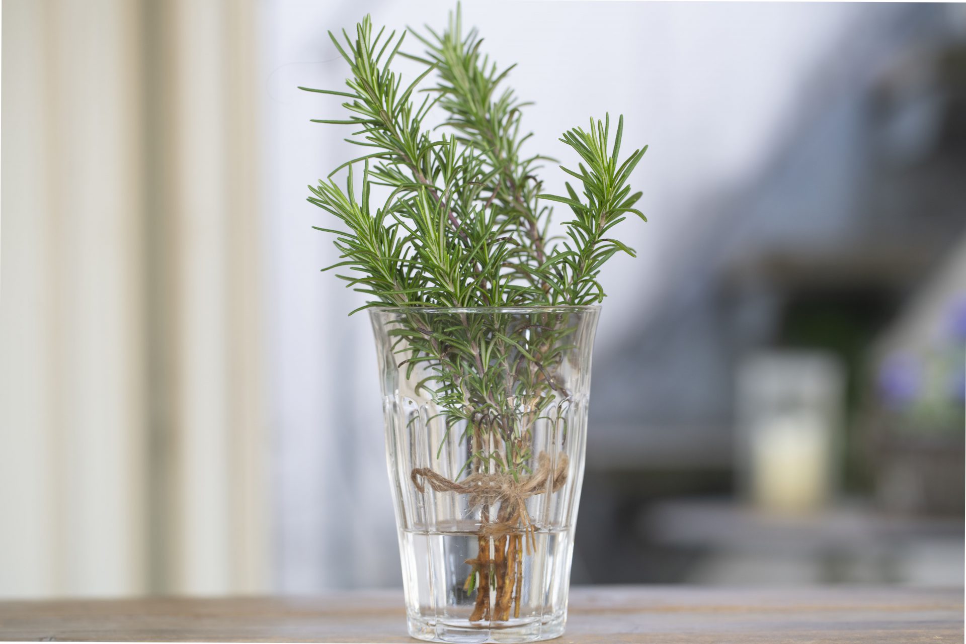 庭に植えたローズマリーの使い方 - イングリッシュガーデン 柴垣グリーンテック