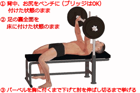 体重別ベンチプレスのレベル表体重と挙上重量の関係 - Fitmo