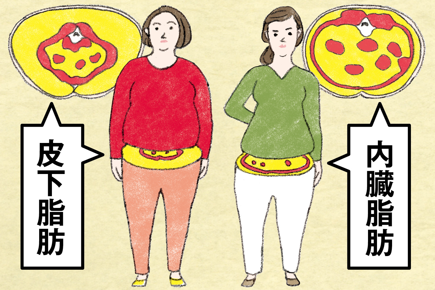 どっちが危ない？内臓脂肪と皮下脂肪の違い。5秒でできる簡単な見分け方を解説アスゲン製薬