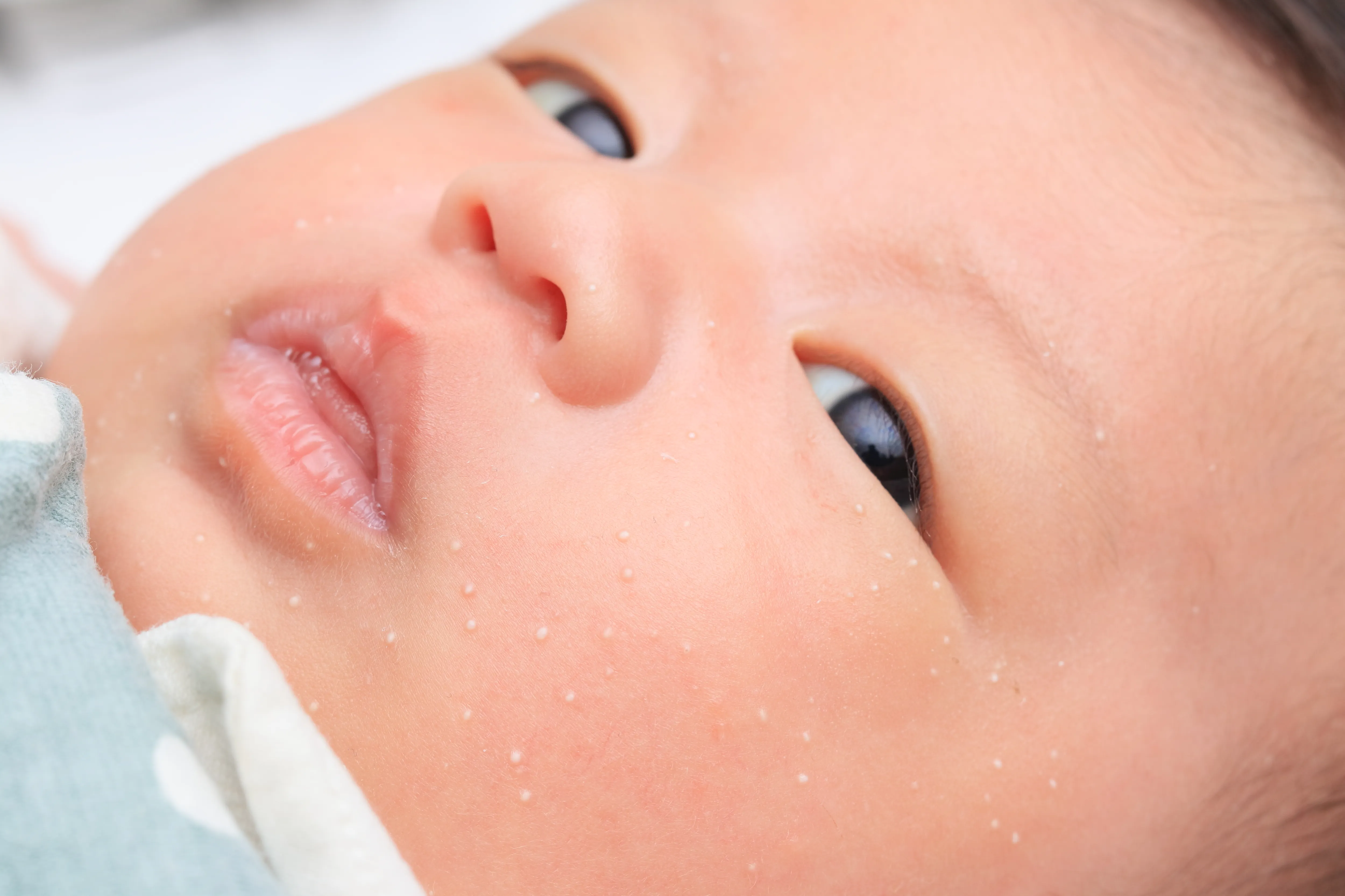 赤ちゃんって、こんなに顔変わるの?!?!😂 おっさん顔だった頃が懐かしいなぁ。 新生児、また見たいなぁ🥹babyboy赤ちゃん男の子生後9ヶ月0歳赤ちゃん動画かわいい癒し 令和ベビー育児親バカ 男の子 ママ 赤ちゃんとの生活 成長レポ beforeandafter