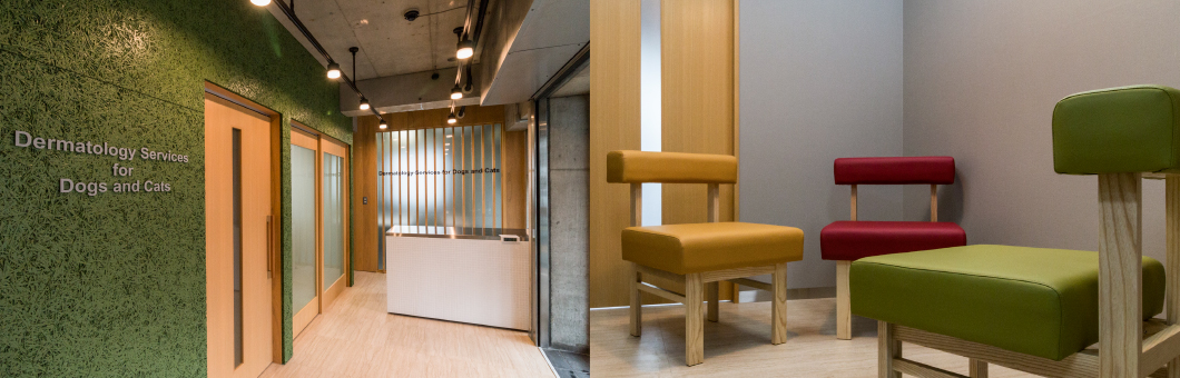 メディカルスキンサロンについてパル動物病院 メディカルスキンサロン
