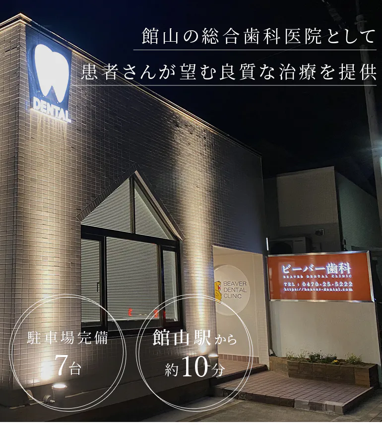 オレンジの歯を持つヌトリア - ビーバーのストックフォトや画像を多数ご用意 - ビーバー, 歯, ユーモア - iStock