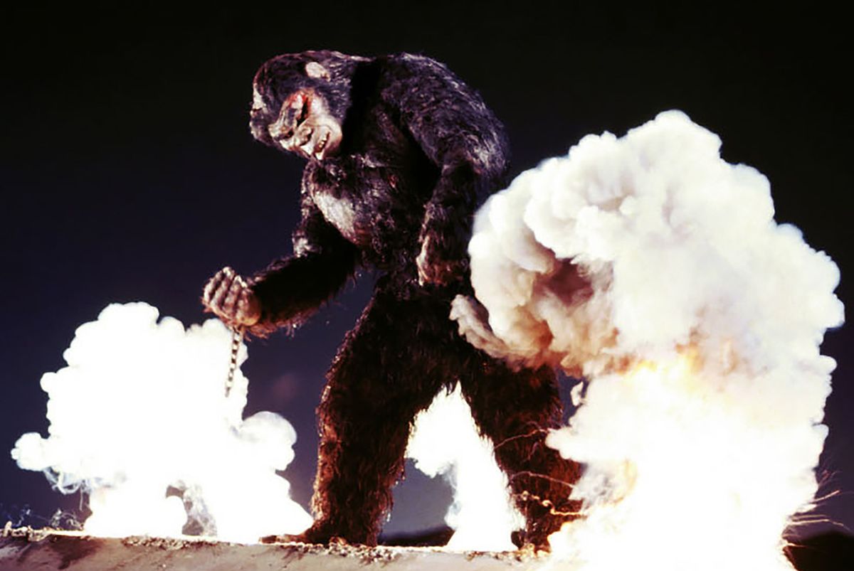 北京原人 Ｗｈｏ ａｒｅ ｙｏｕ？一般社団法人日本映画製作者連盟