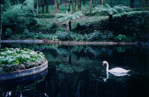 2年半ぶりの沖縄 2 〜「やんばる」 恩納村foodish：雑食記