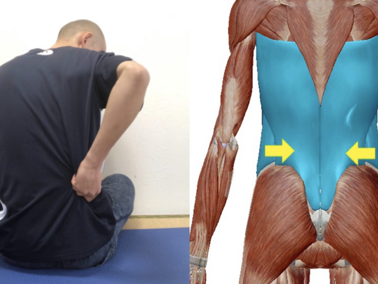 脇腹ストレッチでくびれを作る！簡単ストレッチやマッサージ方法をご紹介ダイエットや美容を応援する SiBODY Beauty Tips