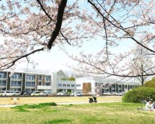 あすかてくるで 羽曳野店 - あすかてくるで 羽曳野店